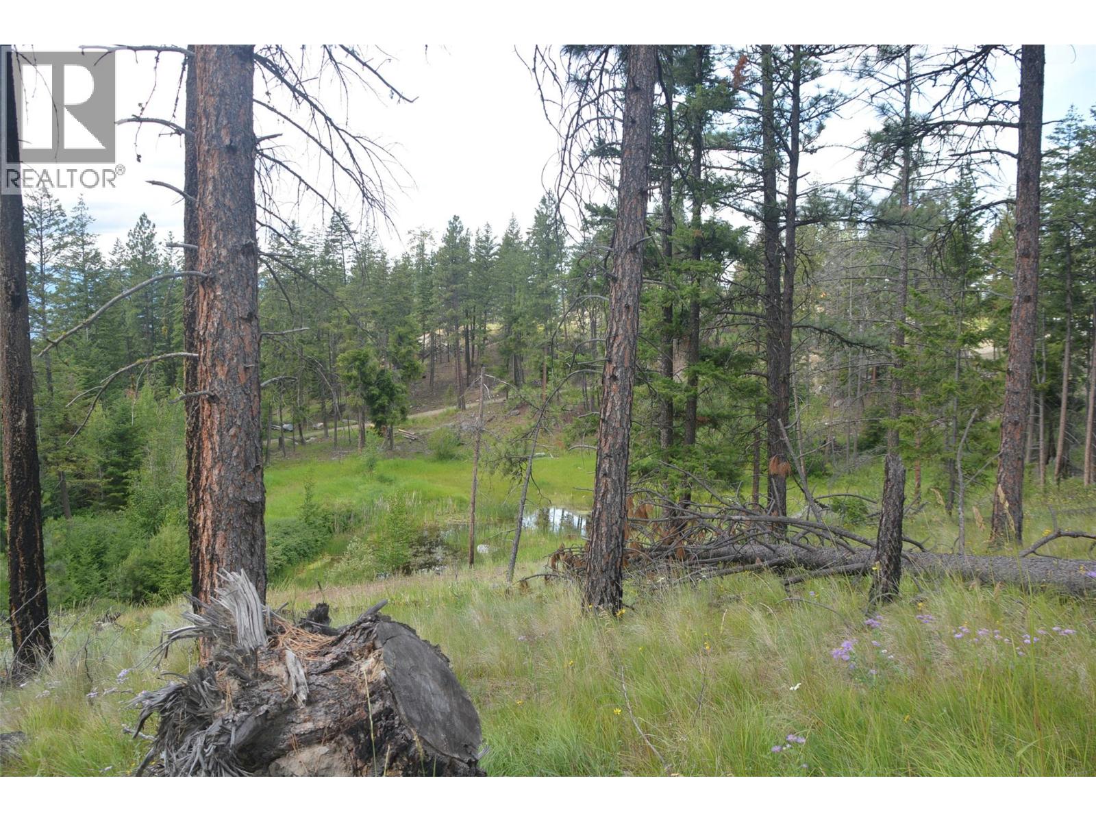 7080 Glenfir Road Unit# 17, Naramata