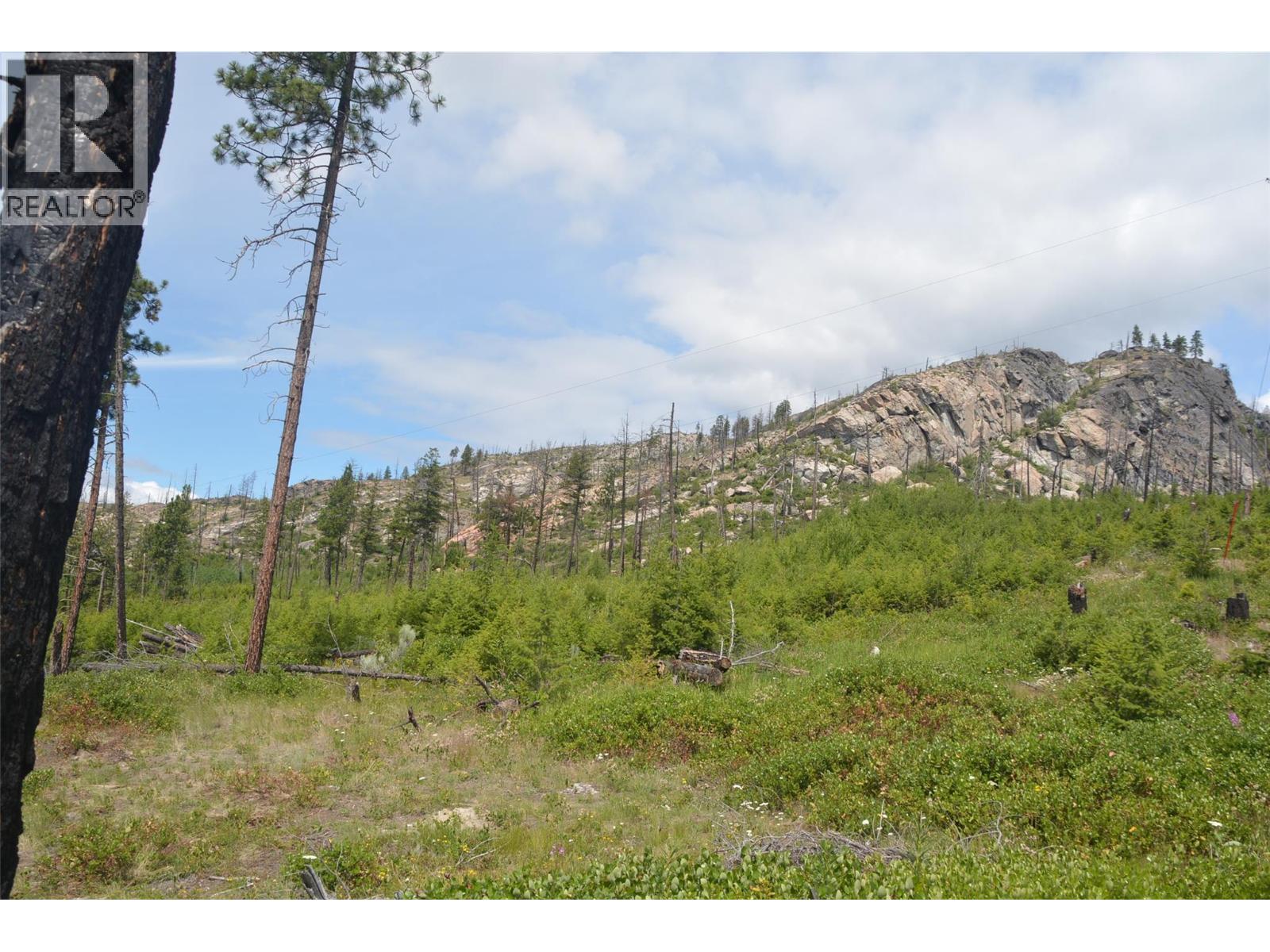 7080 Glenfir Road Unit# 17, Naramata