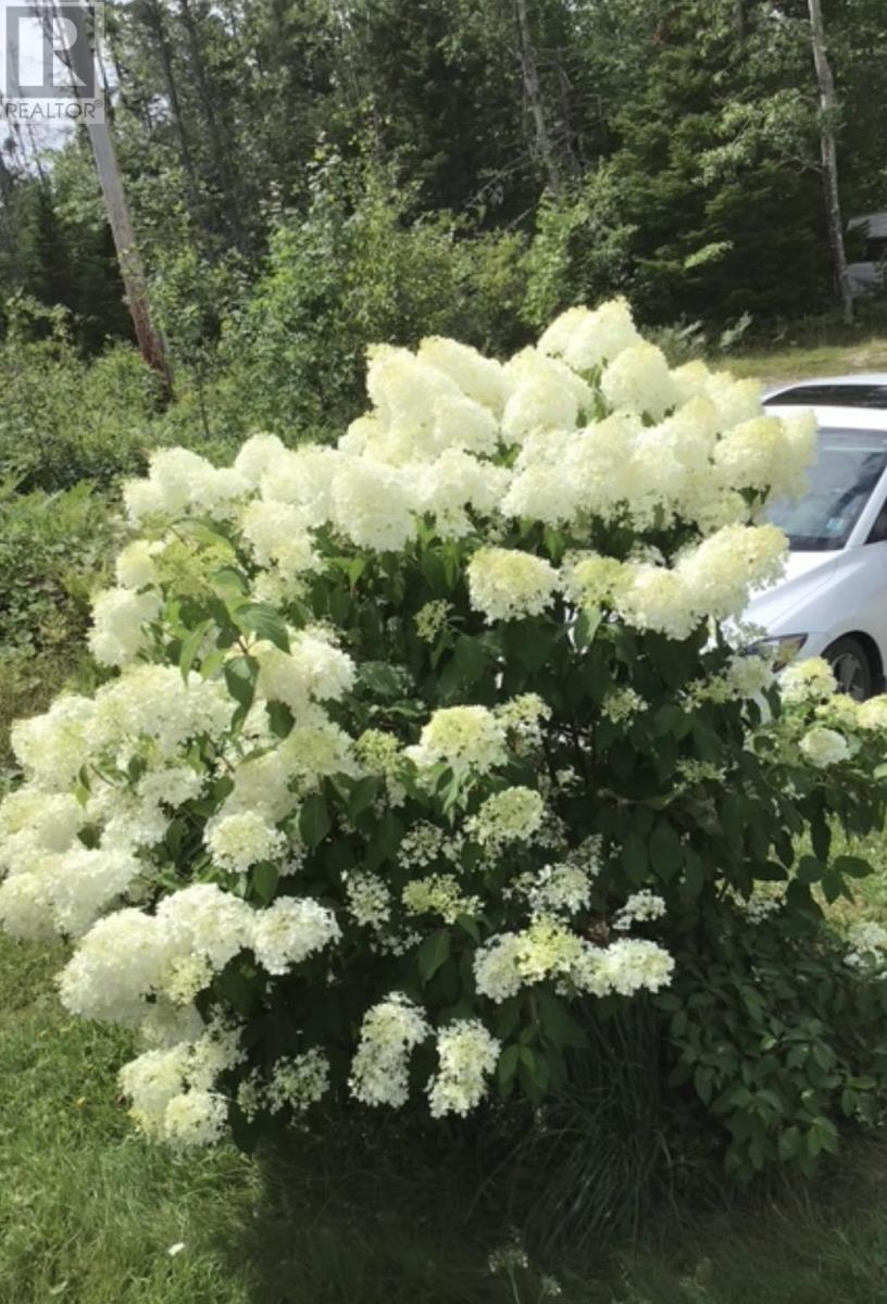 Property 13 of 30 of 872 Red Point Road