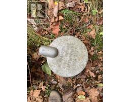 4883 Kinburn Side Road, Mississippi Mills, ON K0A2X0 Photo 29