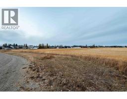 Clt Anderson Subdivision, Three Hills, AB T0M2A0 Photo 19