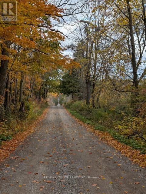 #10A 86 ROLLING BANKS ROAD - 19