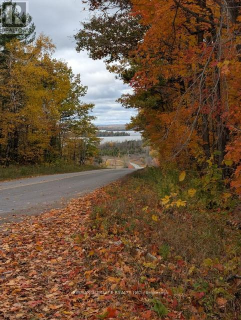 #10A 86 ROLLING BANKS ROAD - 8