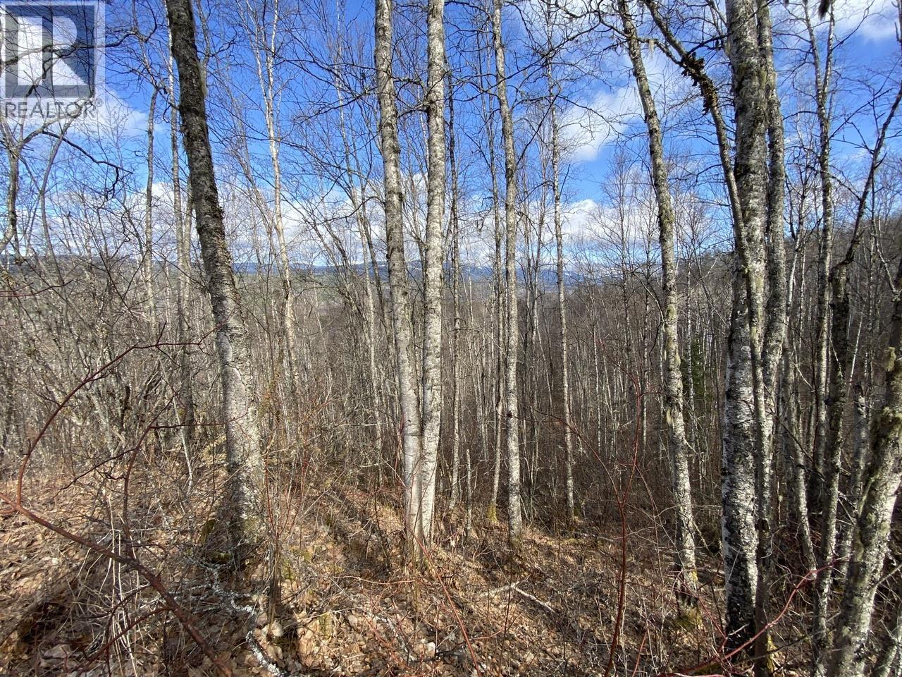 #LOT-26 CHAPPEL Road, Hazelton