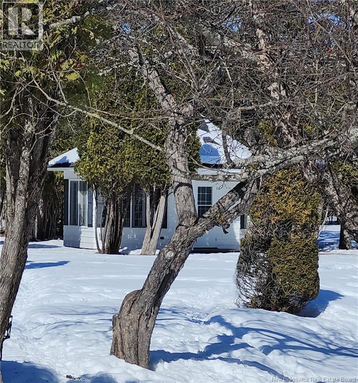 55 Hillcrest Street - Image 4