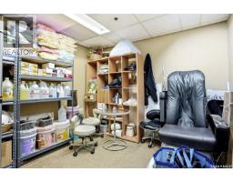 1868 Scarth Street, Regina, SK S4P2G3 Photo 20