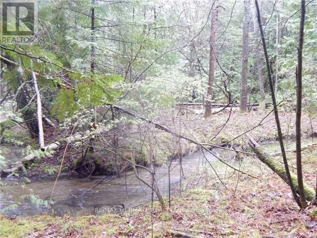 #10A 86 ROLLING BANKS ROAD - 31