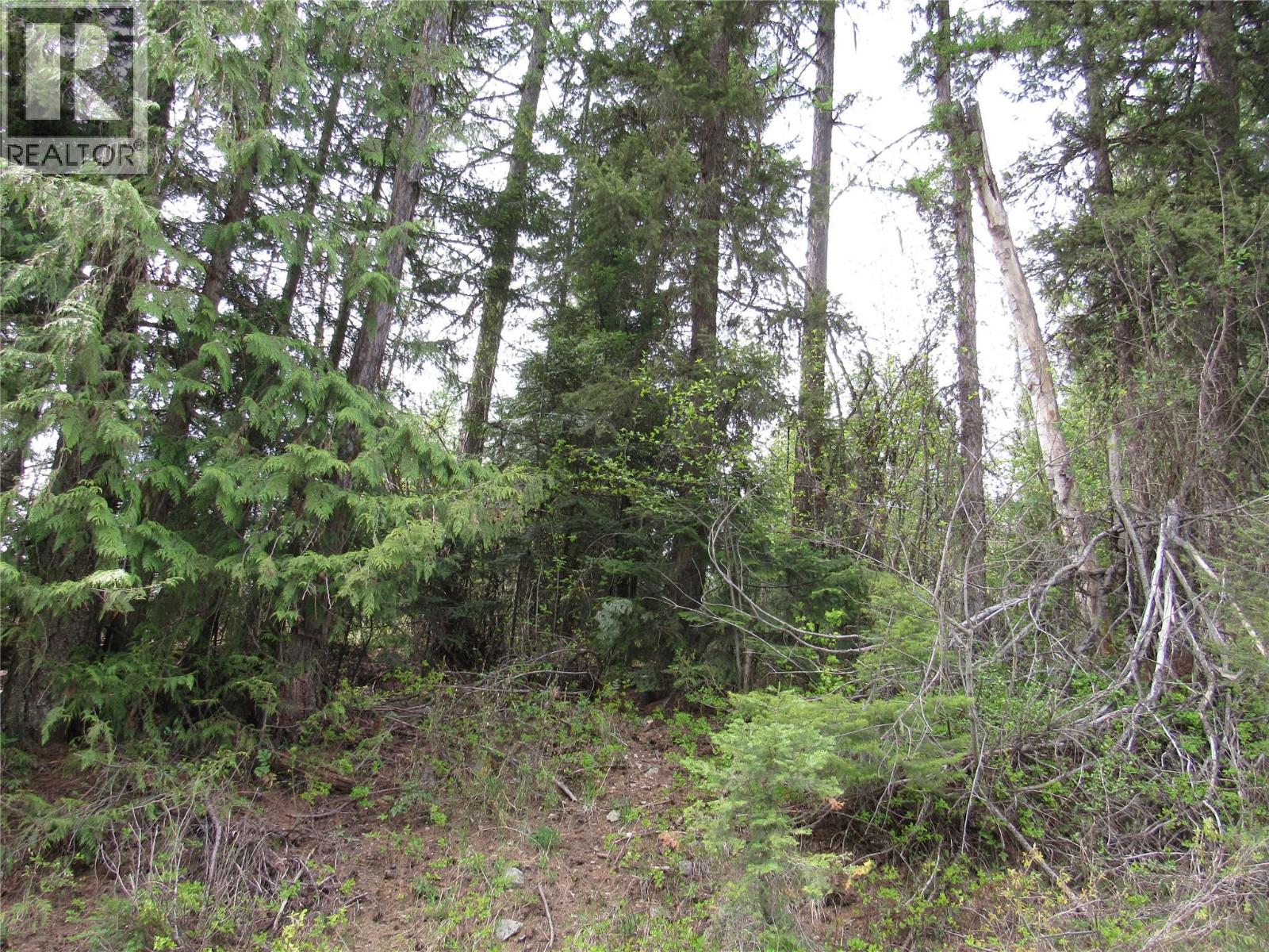 Lot 6 Thompson Road - photo 2