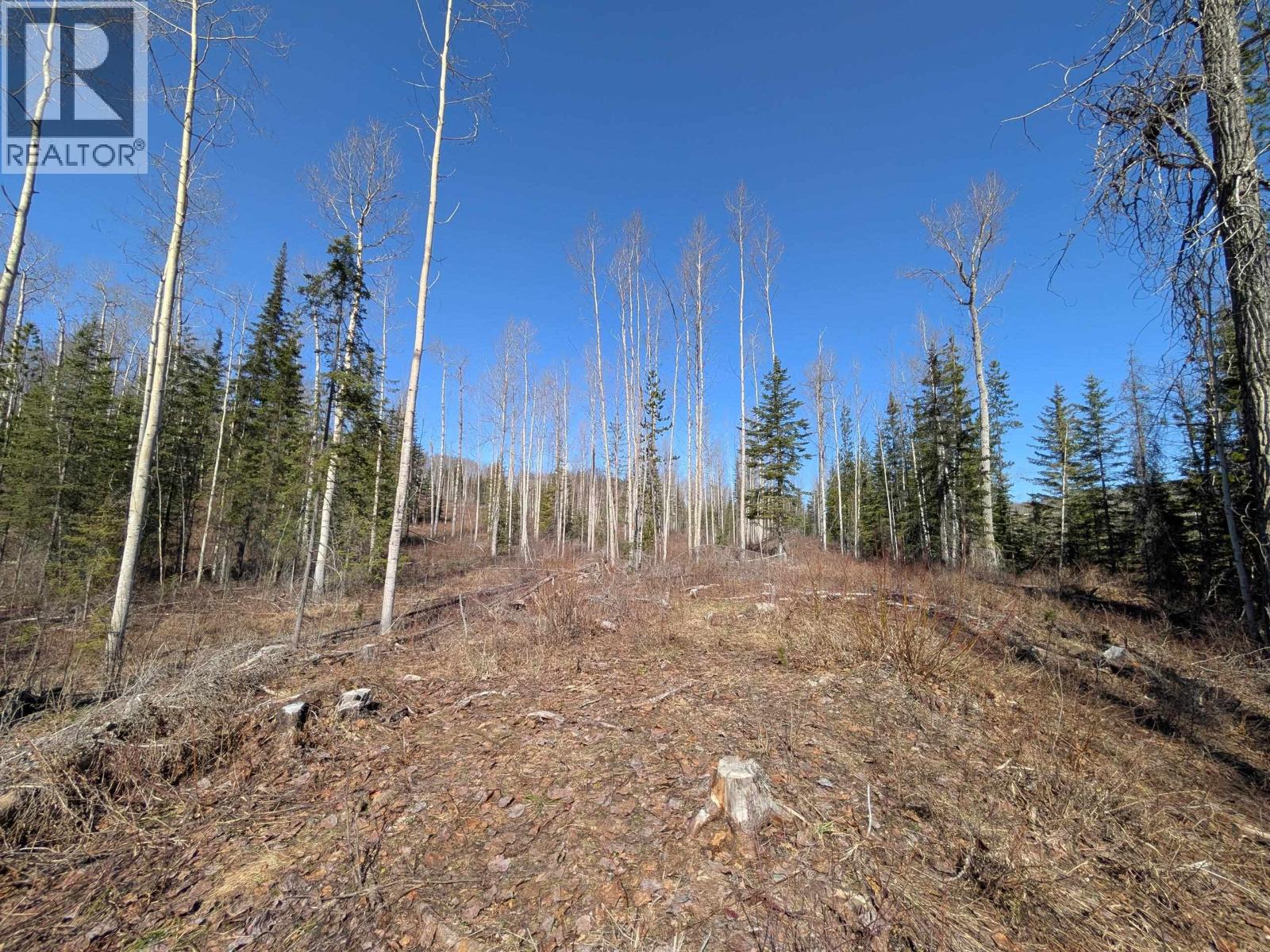 LOT B TELKWA HIGH Road, Smithers