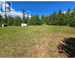 1032 Caroline Road, Clearwater, BC V0E1N2 Photo 40