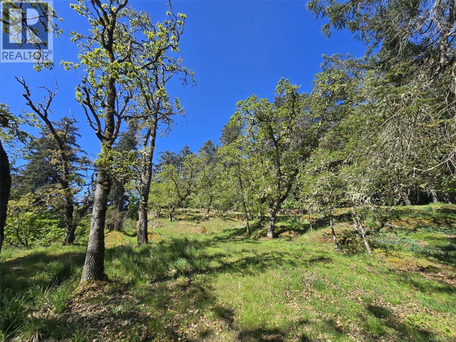 5353 Gore Langton Rd - 81