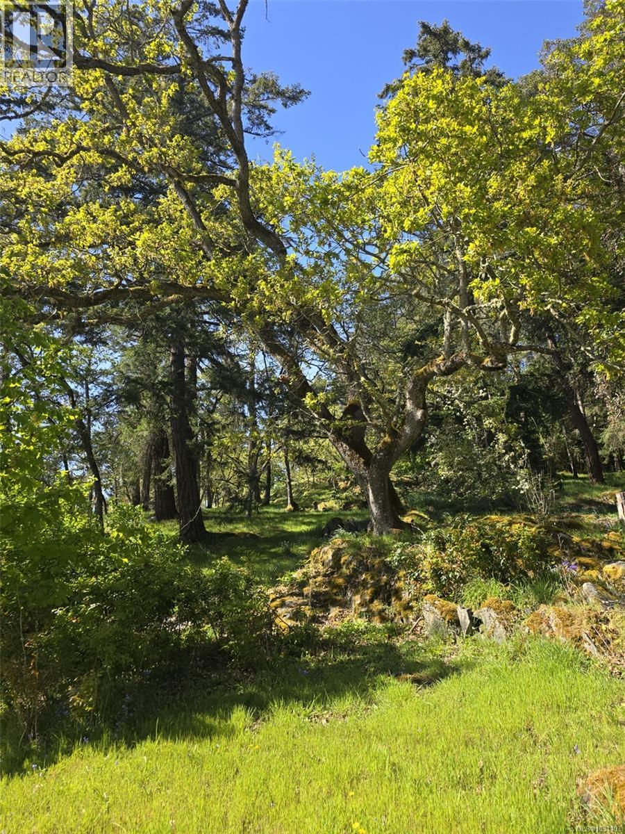 5353 Gore Langton Rd - 85