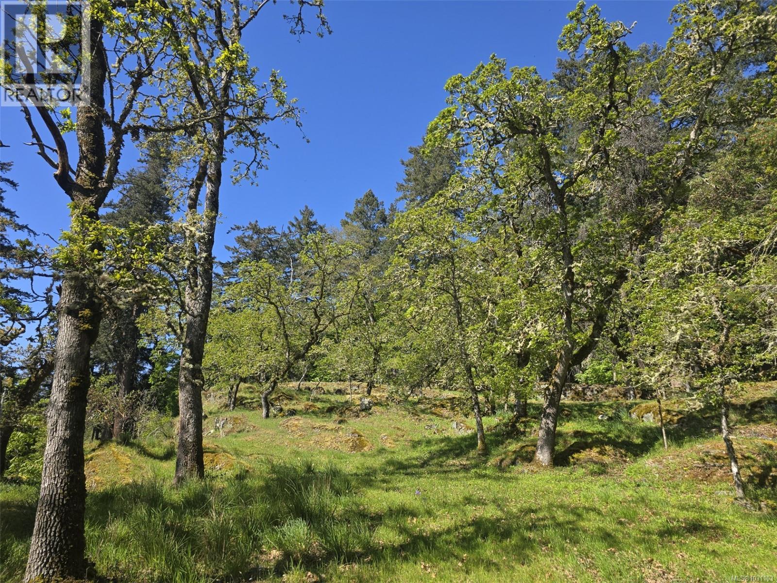 5353 Gore Langton Rd - 86
