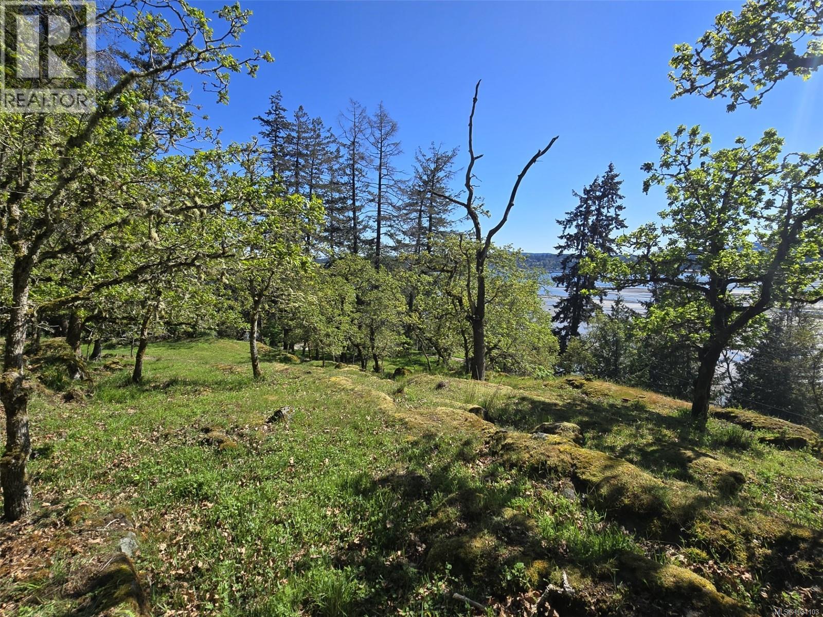5353 Gore Langton Rd - 87