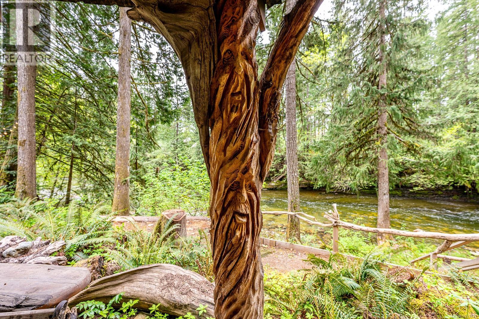 4010 FORBIDDEN PLATEAU Rd, Courtenay