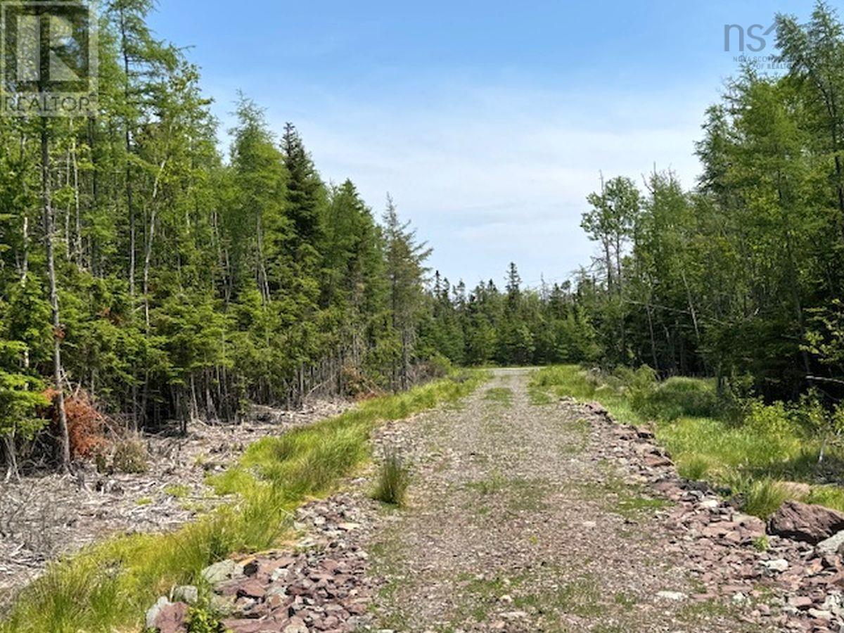 Property 35 of 36 of Lot 4 Grandique Road