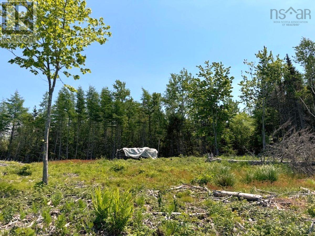 Property 28 of 36 of Lot 4 Grandique Road