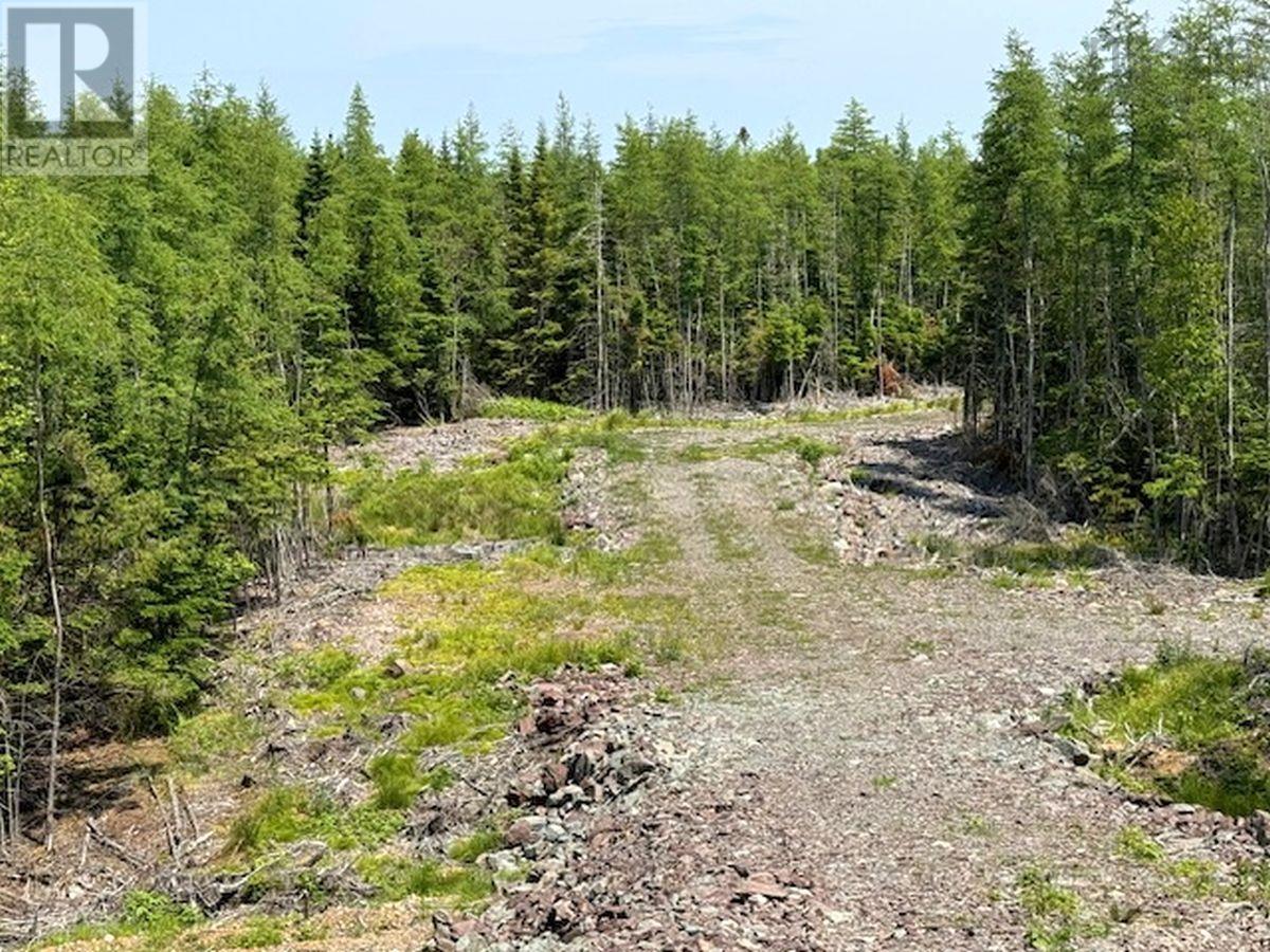 Property 33 of 36 of Lot 4 Grandique Road