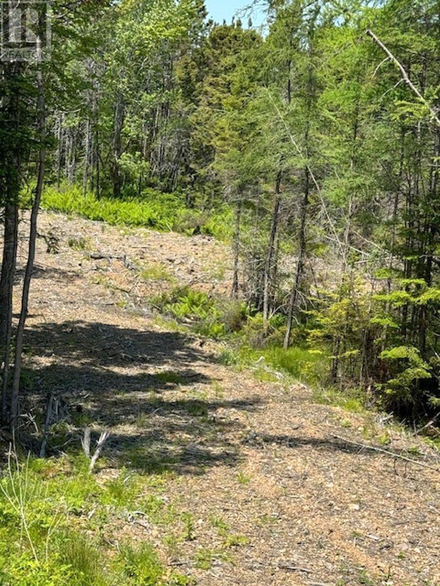 Property 34 of 36 of Lot 4 Grandique Road