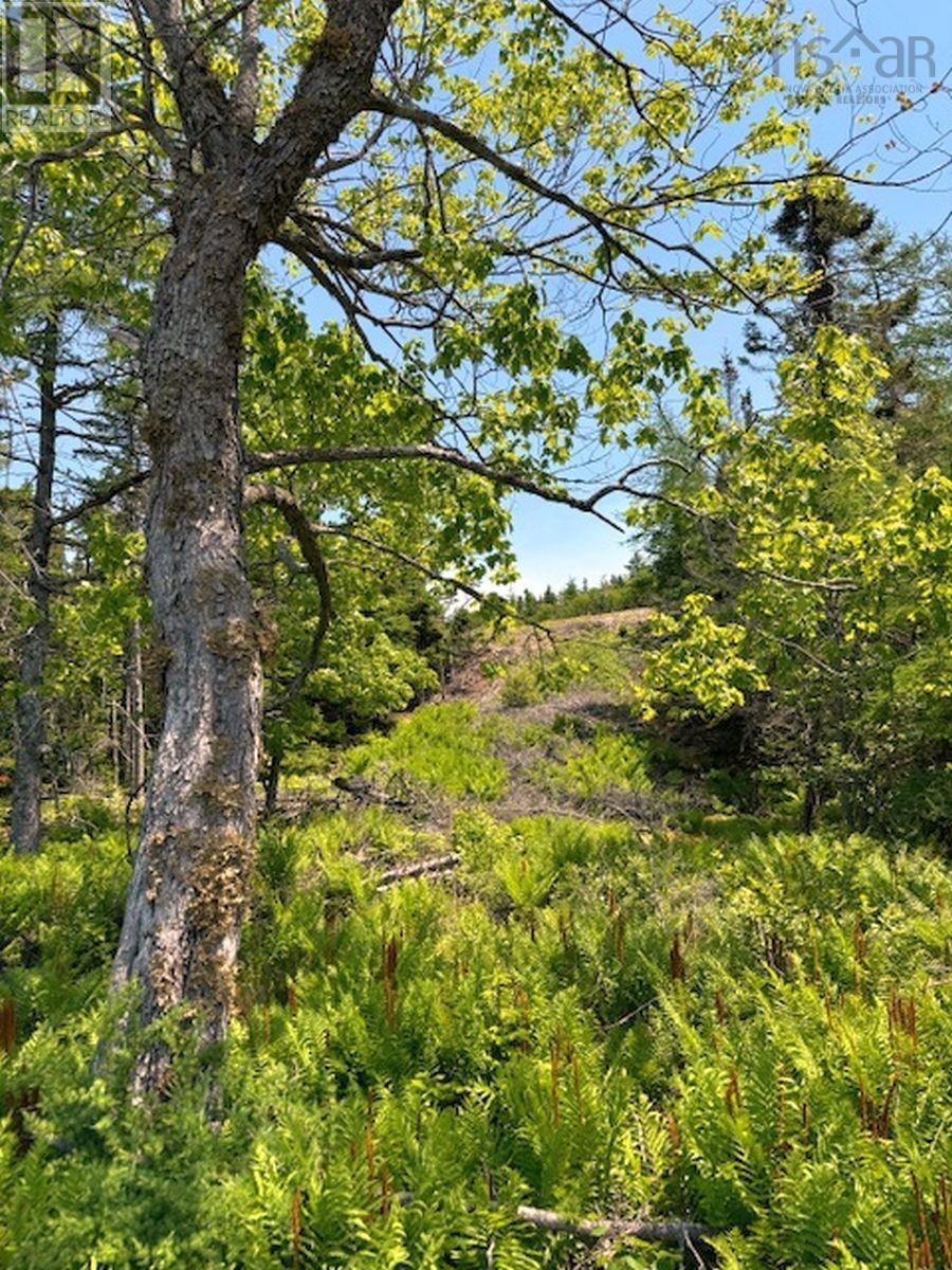 Property 30 of 36 of Lot 4 Grandique Road