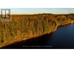 0 Richards Lane, Bonnechere Valley, ON K0J2A0 Photo 11