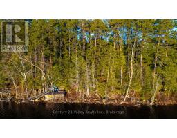 0 Richards Lane, Bonnechere Valley, ON K0J2A0 Photo 12