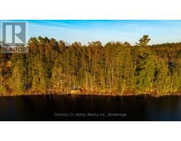 0 Richards Lane, Bonnechere Valley, ON K0J2A0 Photo 13