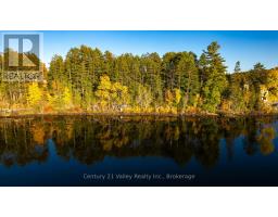 0 Richards Lane, Bonnechere Valley, ON K0J2A0 Photo 18