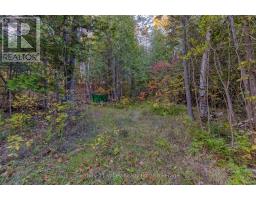 0 Richards Lane, Bonnechere Valley, ON K0J2A0 Photo 22