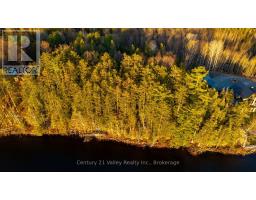 0 Richards Lane, Bonnechere Valley, ON K0J2A0 Photo 8