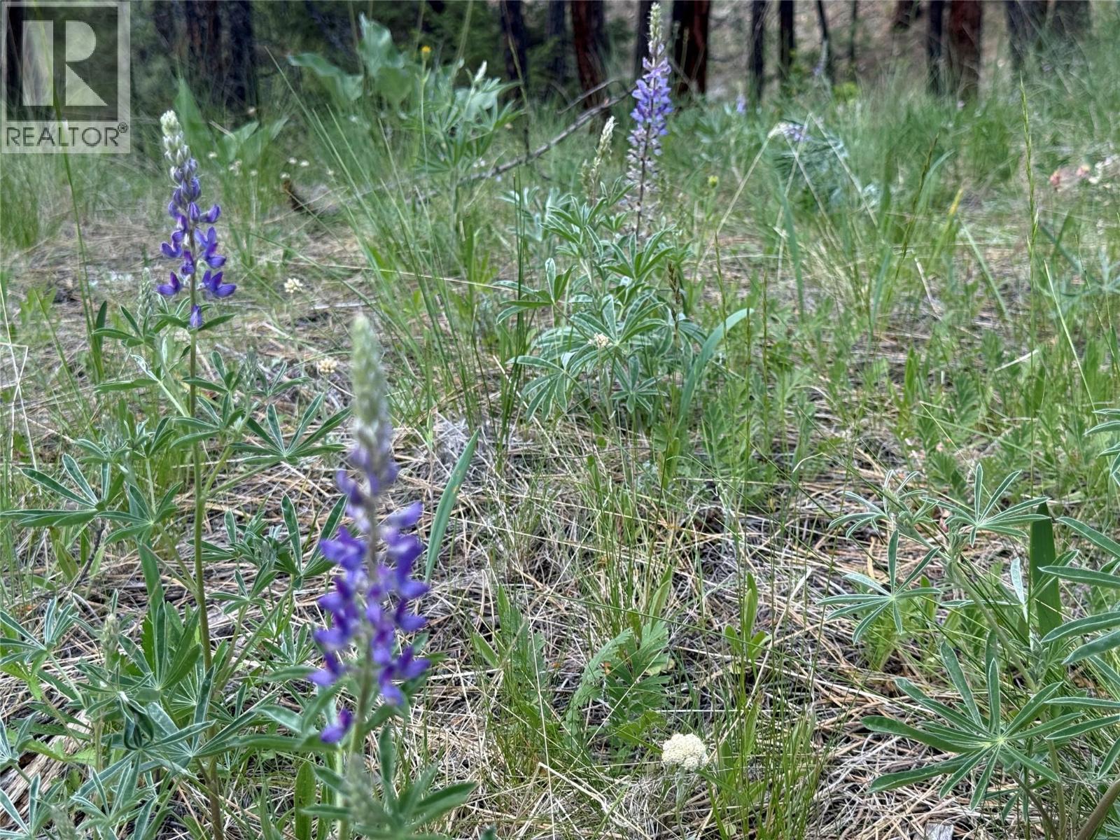 LOT 14 6145 Parnaby Road, Cranbrook