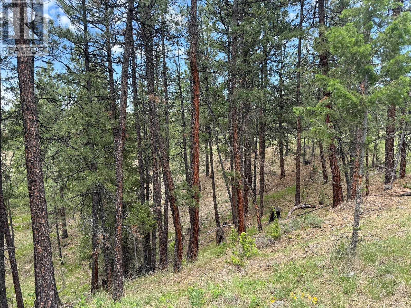 LOT 14 6145 Parnaby Road, Cranbrook