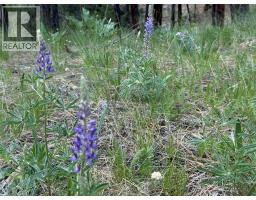 6145 Parnaby Road Unit# Lot 14 Lot# 14, Cranbrook, BC V1C0C2 Photo 15