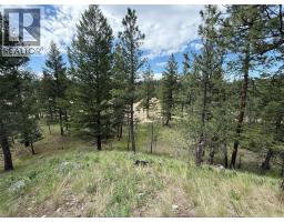 6145 Parnaby Road Unit# Lot 14 Lot# 14, Cranbrook, BC V1C0C2 Photo 7