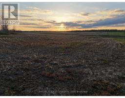 24688 Carroll Line, West Elgin, ON N0L2P0 Photo 18