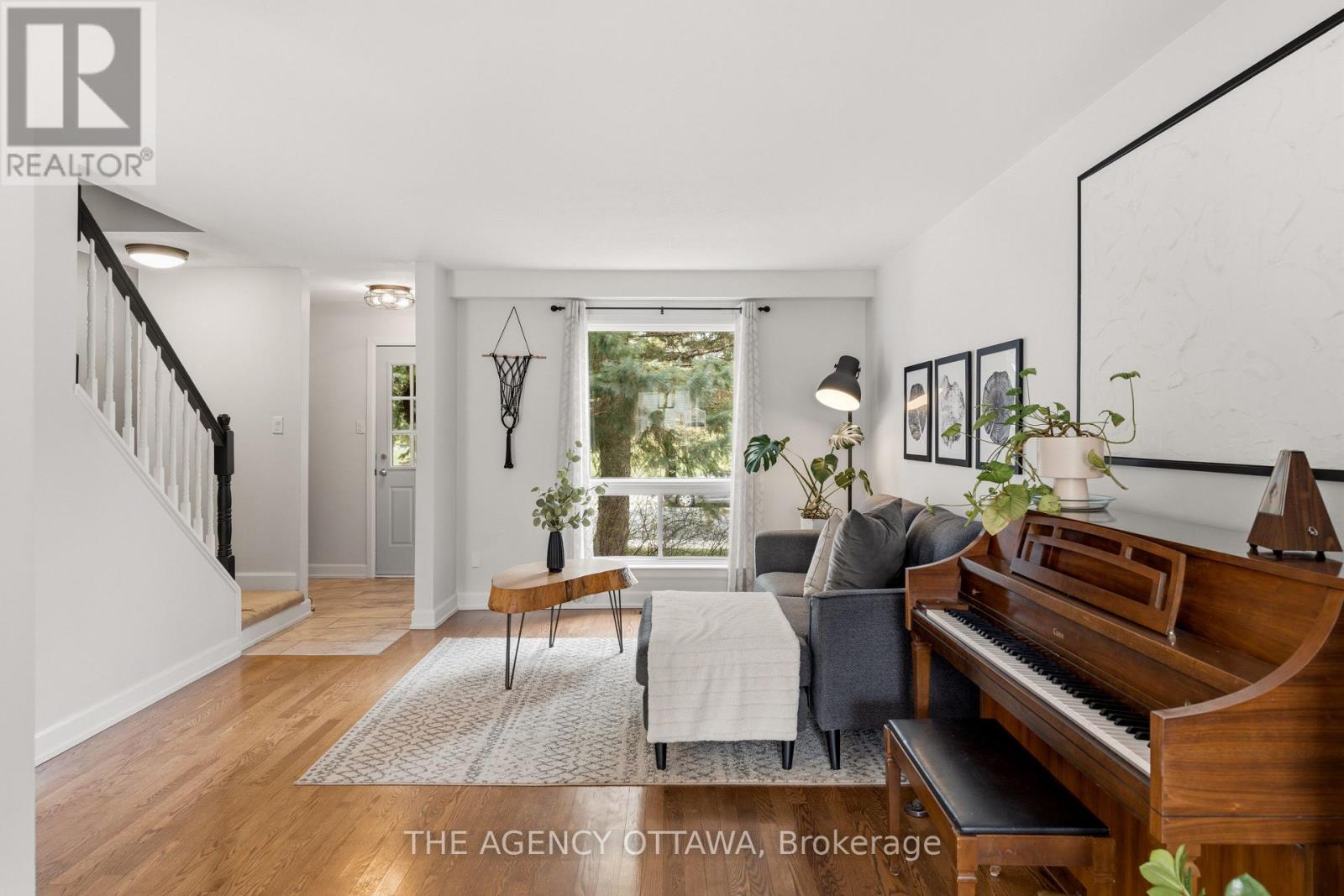 Living Room With Lots of Natural Light