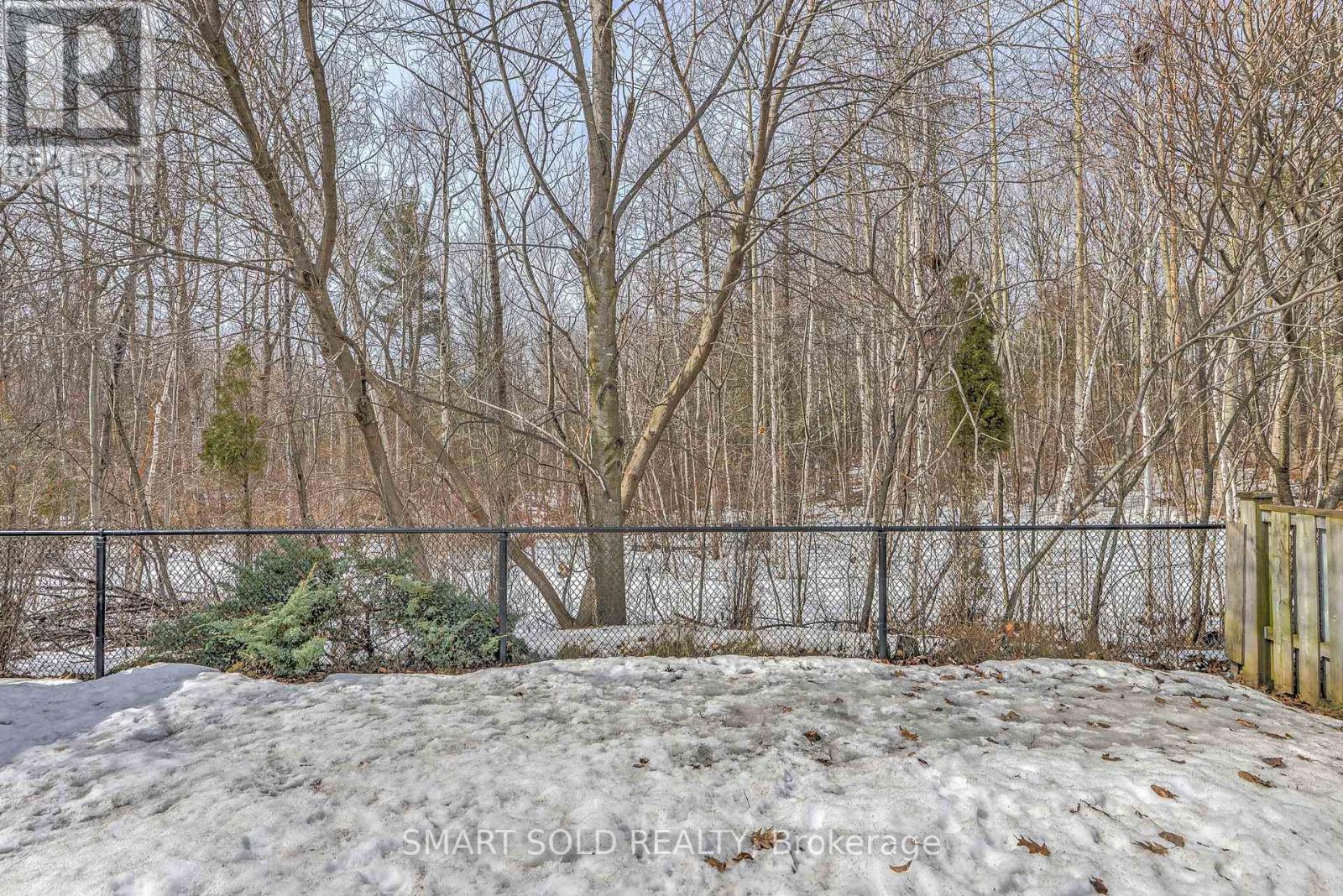 106 WOOD RIM DRIVE - 47