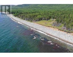 Lot 2 Cabot Trail, Birch Plain, NS B0C1H0 Photo 14