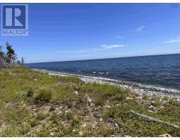 Lot 2 Cabot Trail, Birch Plain, NS B0C1H0 Photo 9