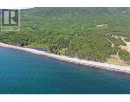 Lot 2 Cabot Trail, Birch Plain, NS B0C1H0 Photo 10