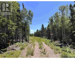 Lot 2 Cabot Trail, Birch Plain, NS B0C1H0 Photo 18
