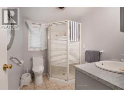 18725 Desmond Road, Chatham Kent, ON N0P2C0 Photo 22