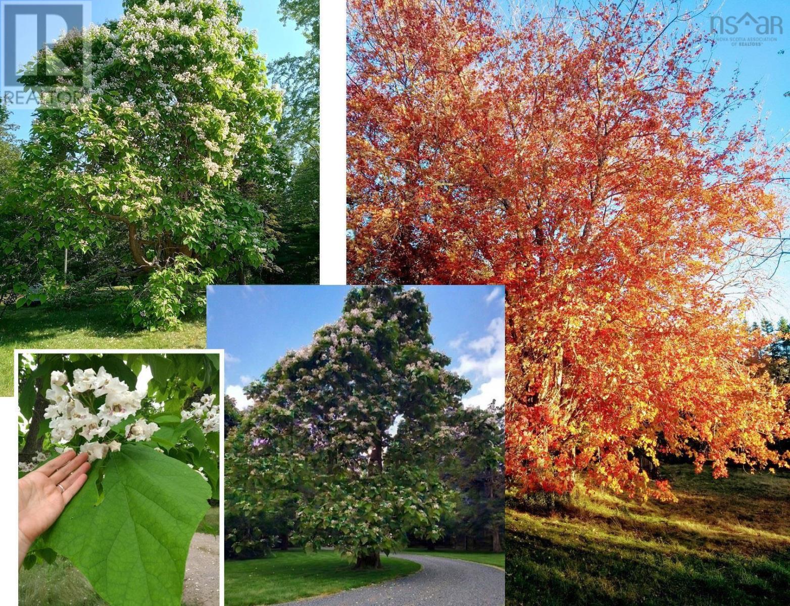 Property 8 of 50 of 3092 Highway 1