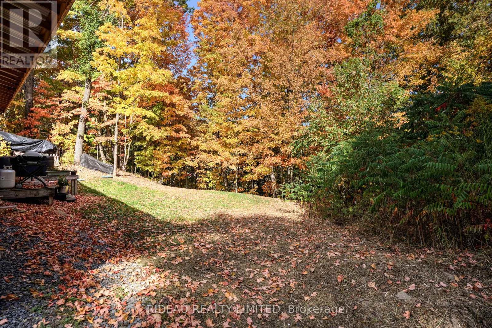 24 BRIAR HILL ROAD - 14