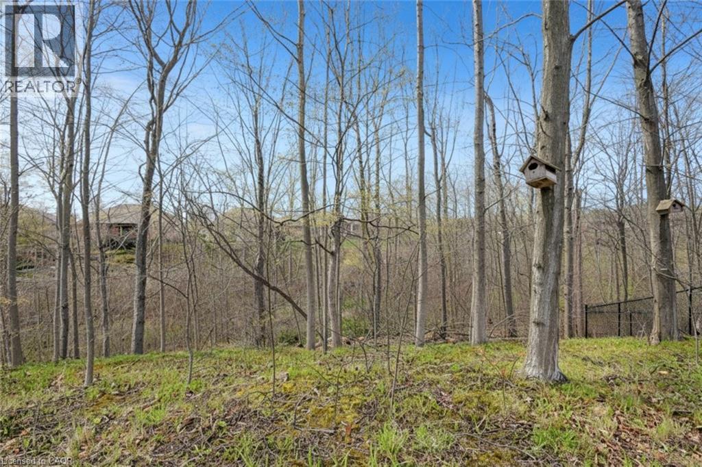 34 BIRCH Avenue - 45