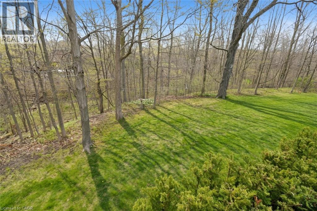 34 BIRCH Avenue - 46
