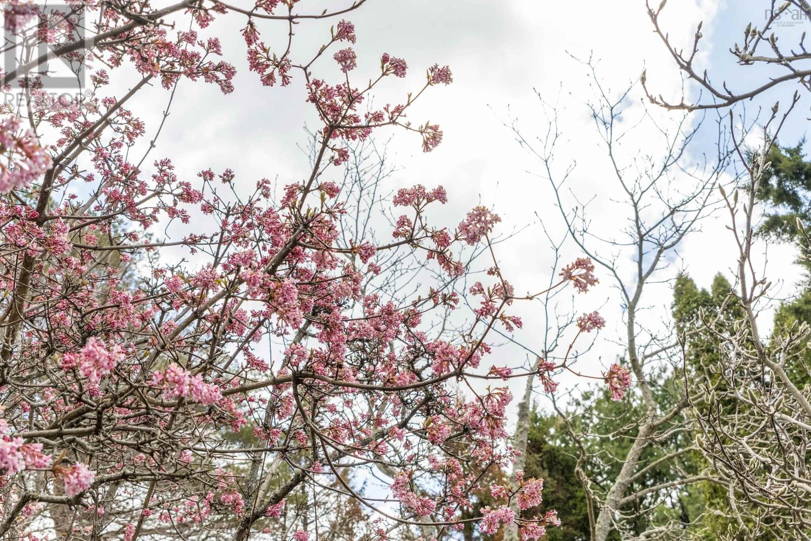 Property 49 of 52 of 504 Granville Street