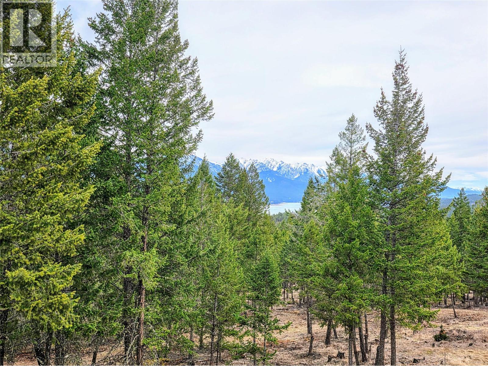 2600 Riverrock Way Unit# 5, Invermere