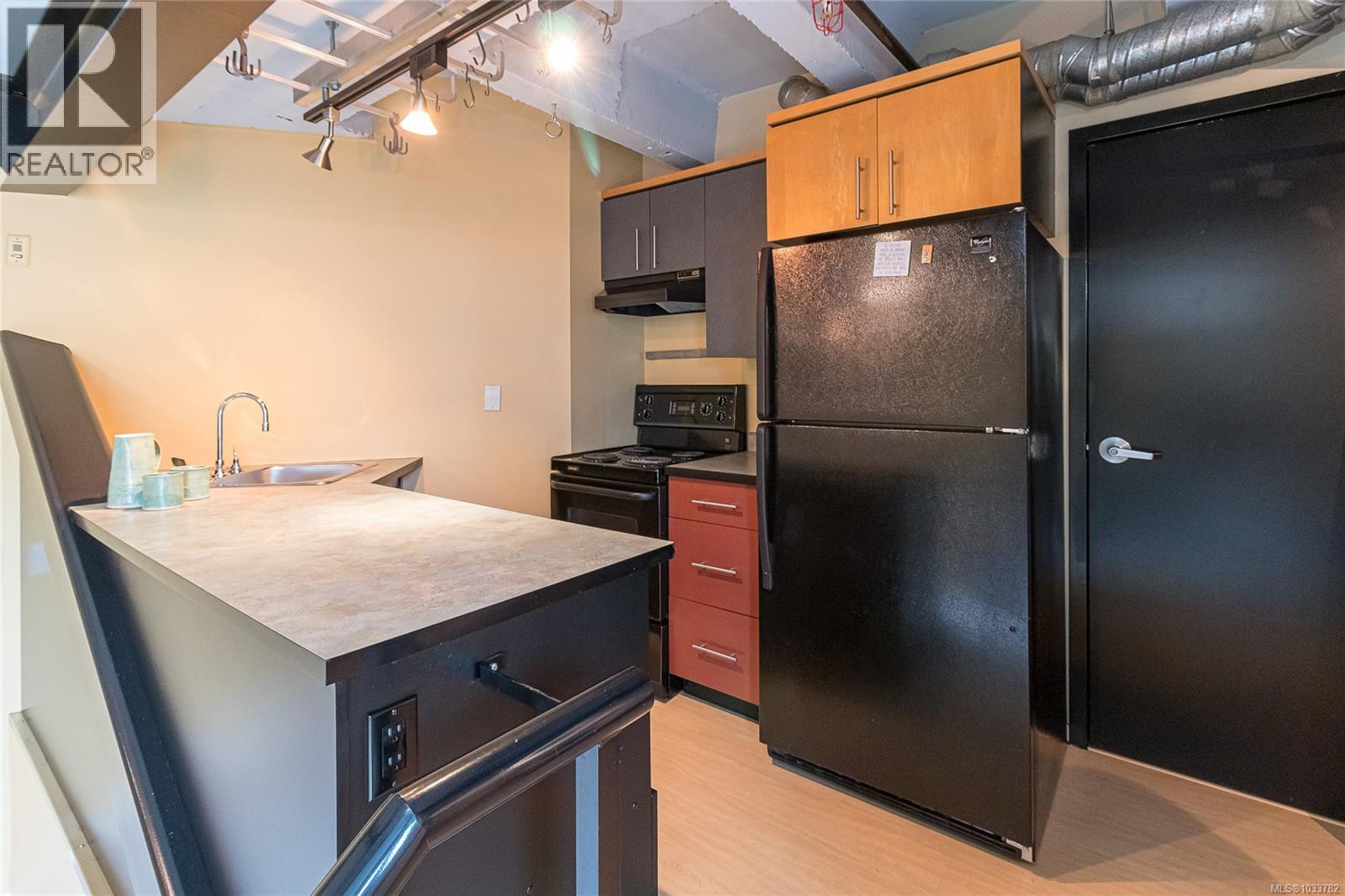 #411 1061 Fort St - 19