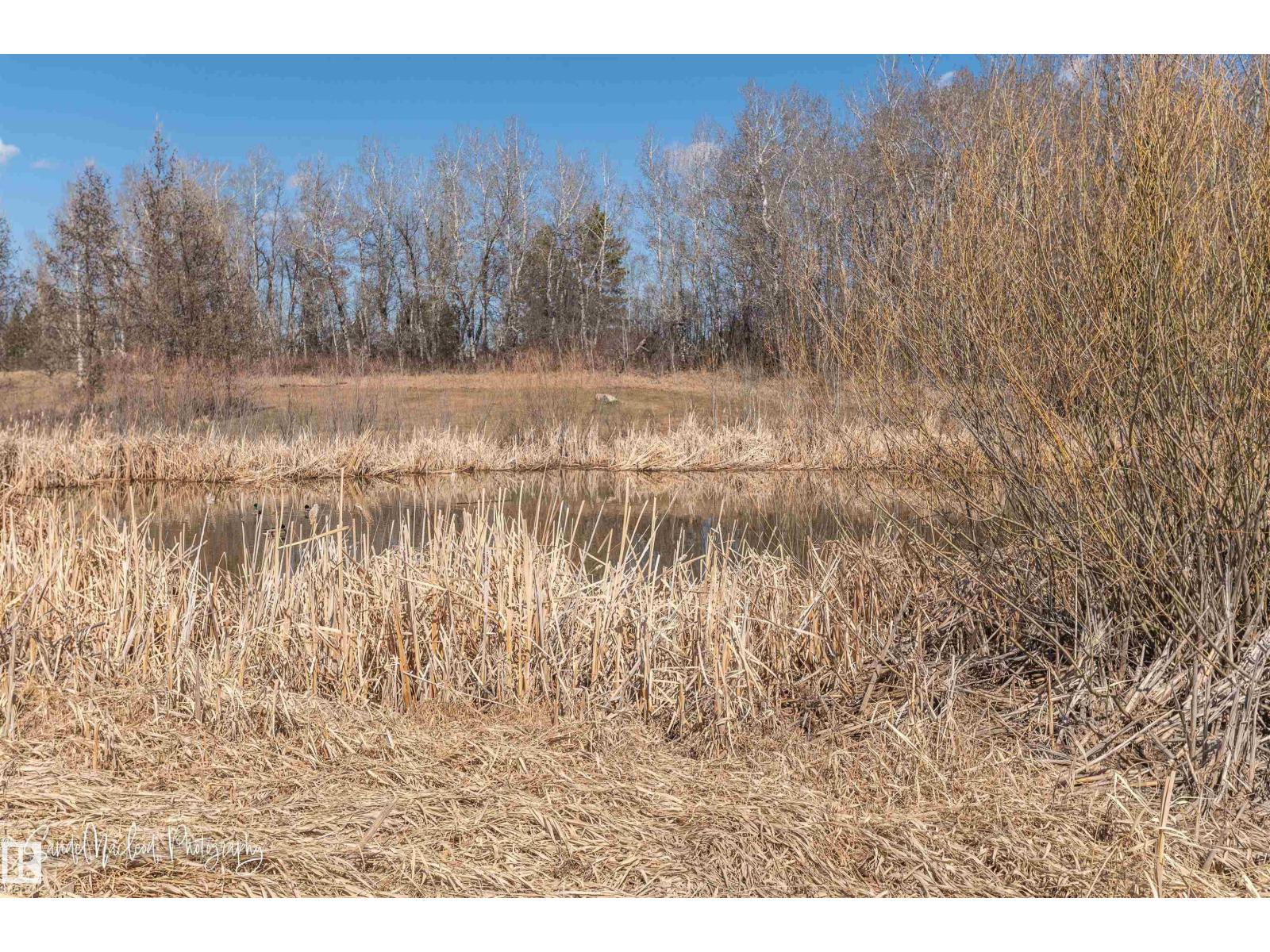 121 ELLINGTON CR, St. Albert